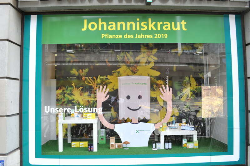 September / Oktober Pflanze des Jahres - Johanniskraut